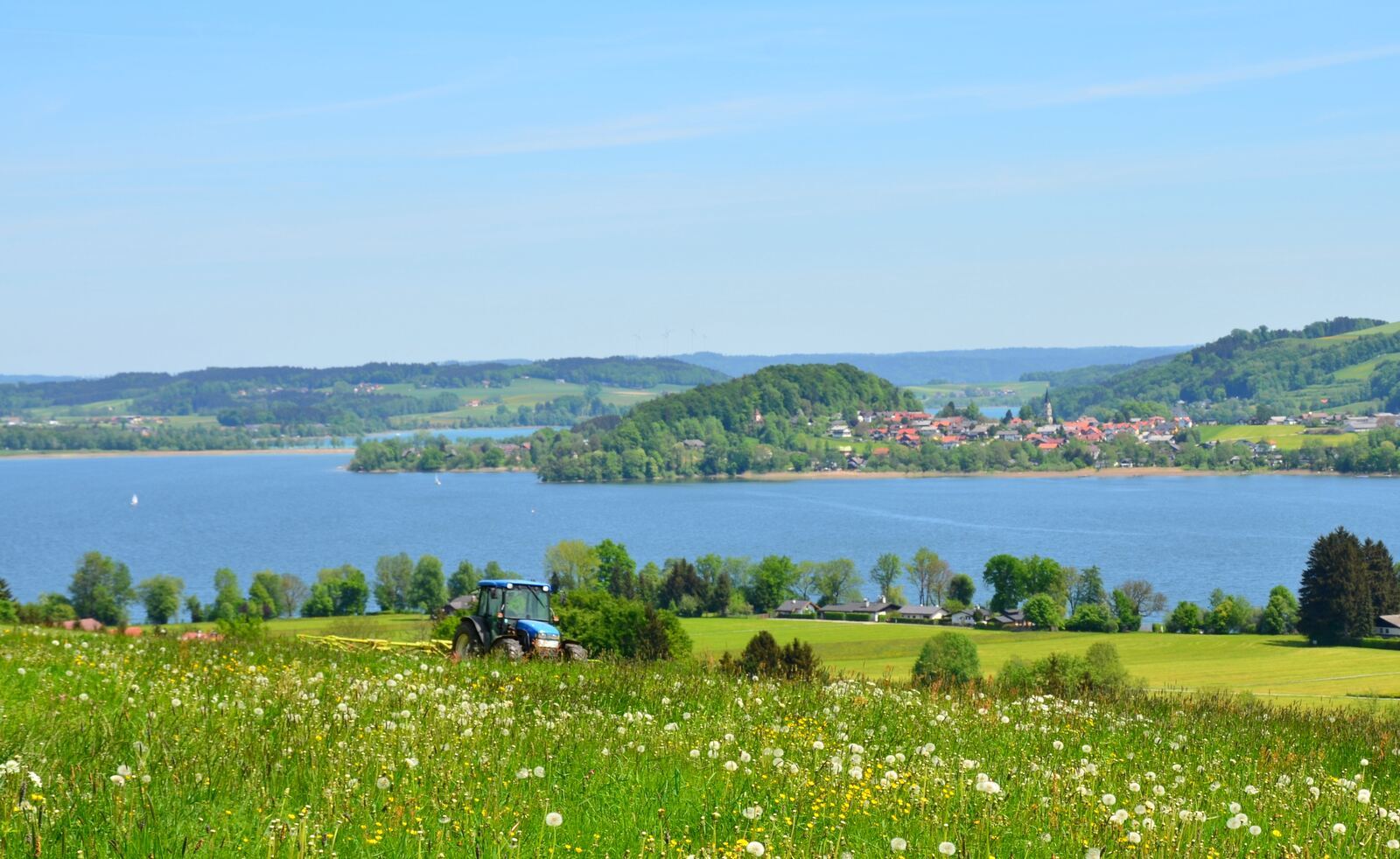 Blumenwiese mit Traktor über dem Obertrumer See